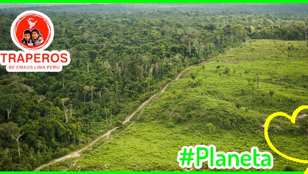 ▷ La Restauracion Ecologica【 Planeta 】